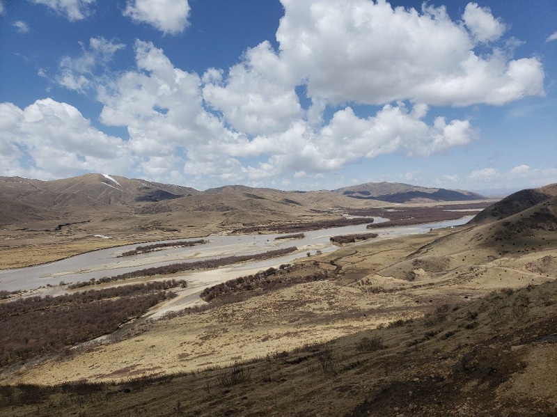 1653877487.jpg 5.jpg